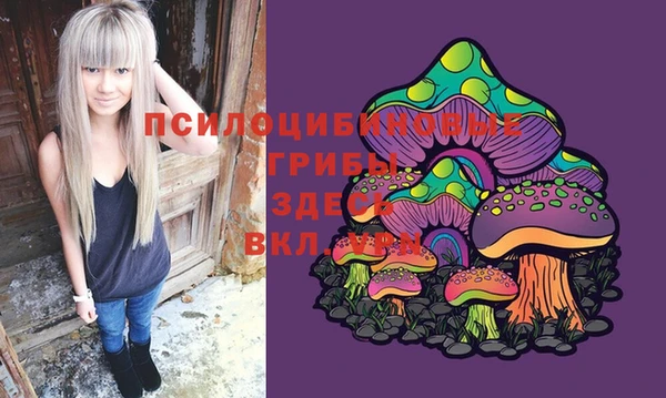 MDMA Алексин