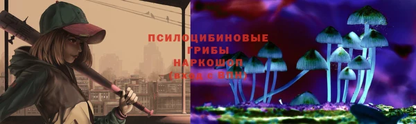 шишки Алзамай