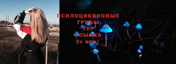 шишки Алзамай