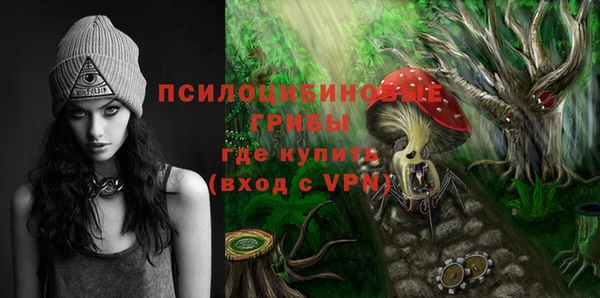 шишки Алзамай